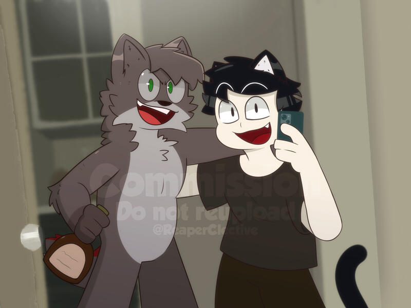 3 Commission for Zander